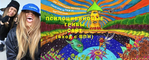 PSILOCYBIN Бугульма